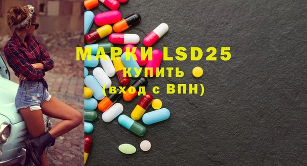 2c-b Пестово