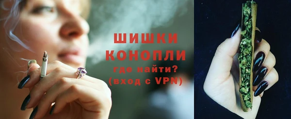 2c-b Пестово