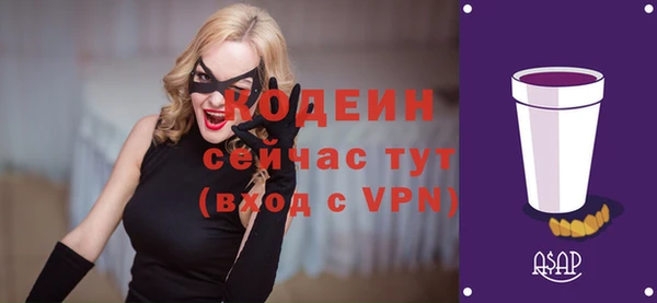 2c-b Пестово
