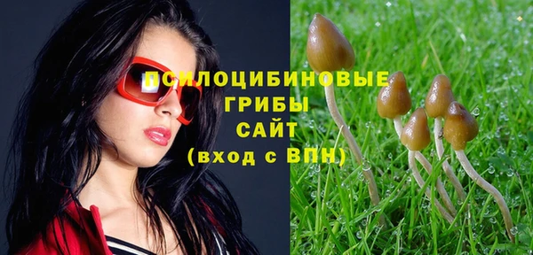 гидропоника Переславль-Залесский