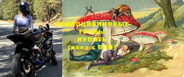 2c-b Пестово