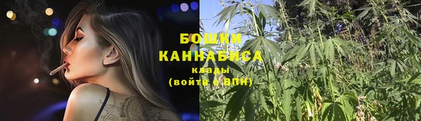2c-b Пестово