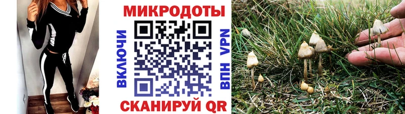 Псилоцибиновые грибы MAGIC MUSHROOMS  цена наркотик  блэк спрут зеркало  Руза 