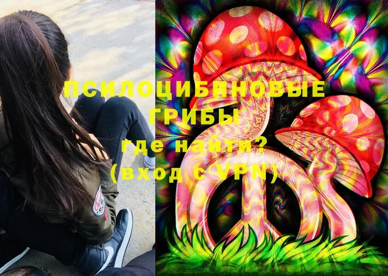 Псилоцибиновые грибы Psilocybe  что такое   блэк спрут зеркало  Руза 